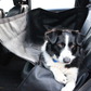 Kia Pet Seat Protector - All Kia Models AMPETSEATPRO