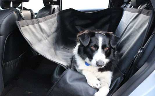 Kia Pet Seat Protector - All Kia Models AMPETSEATPRO